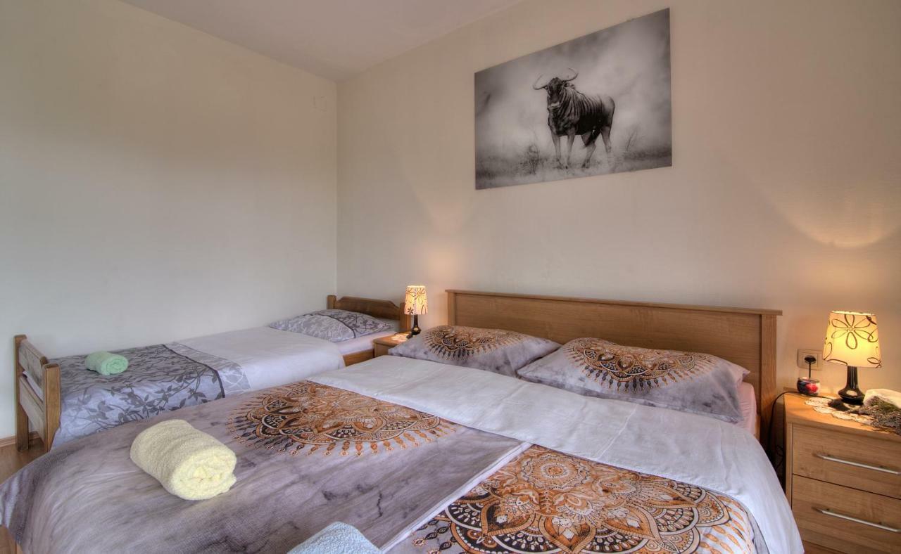 Apartment Marijanka Senj  Bagian luar foto